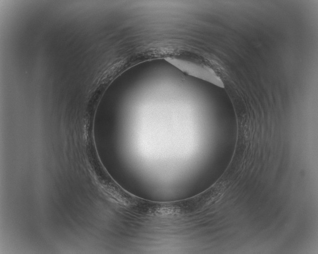 X0000062920546200601271808