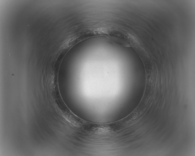 X0000062920548200601271808