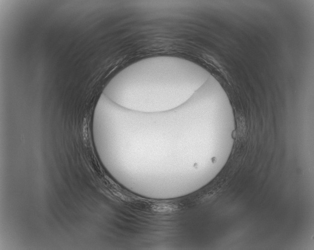 X0000062920549200601271808