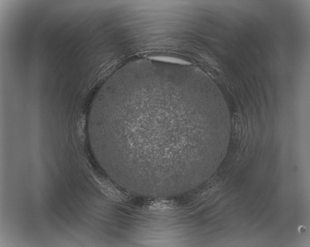 X0000062920550200601271808