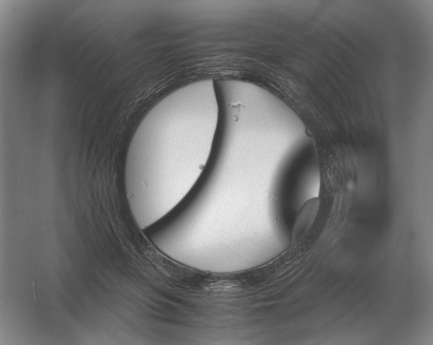 X0000062920551200601271808