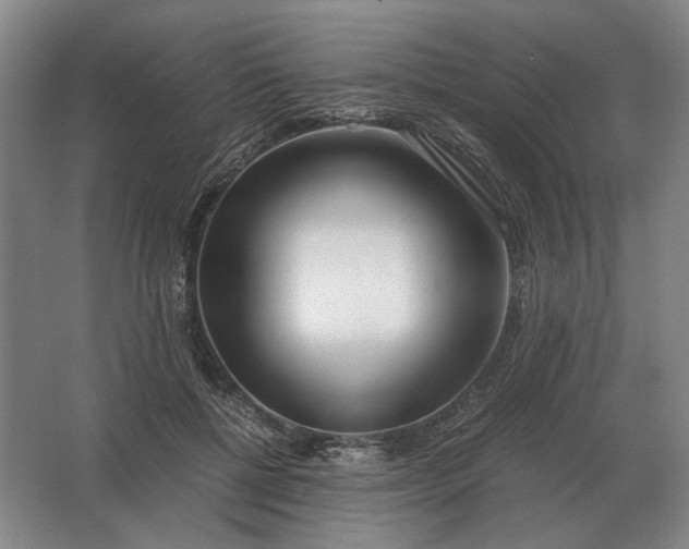 X0000062920552200601271808