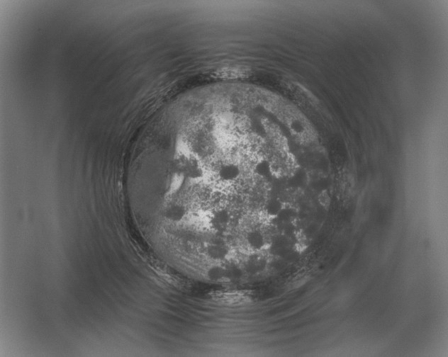 X0000062920553200601271808