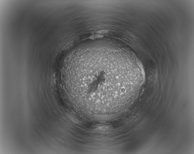 X0000062920555200601271808