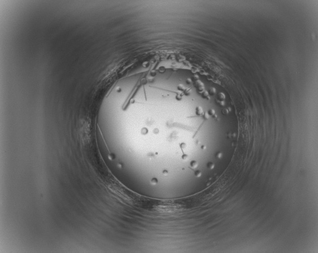 X0000062920556200601271808