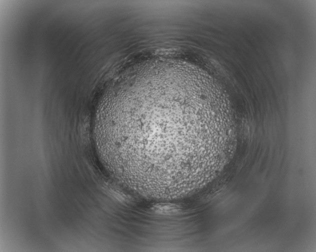 X0000062920557200601271808