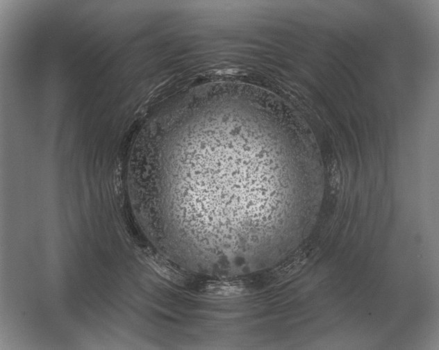 X0000062920559200601271808