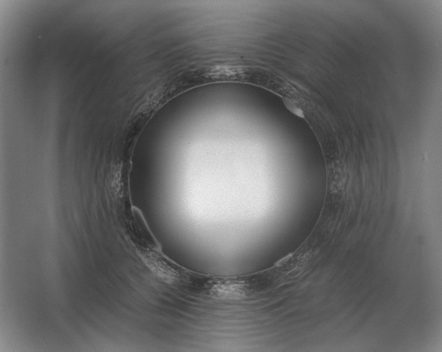 X0000062920560200601271808