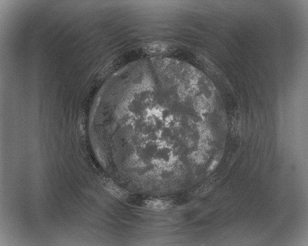 X0000062920561200601271808