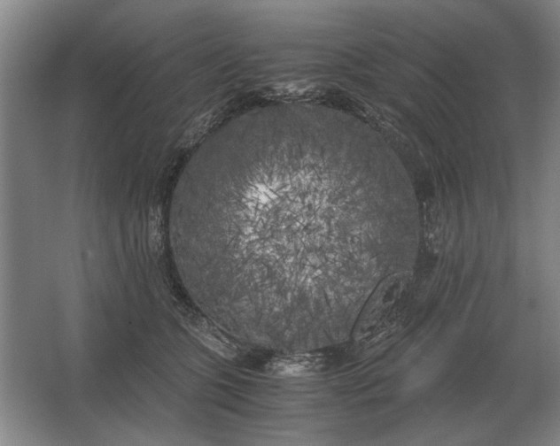 X0000062920563200601271808