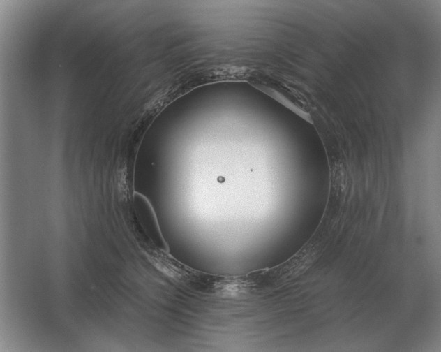 X0000062920564200601271808