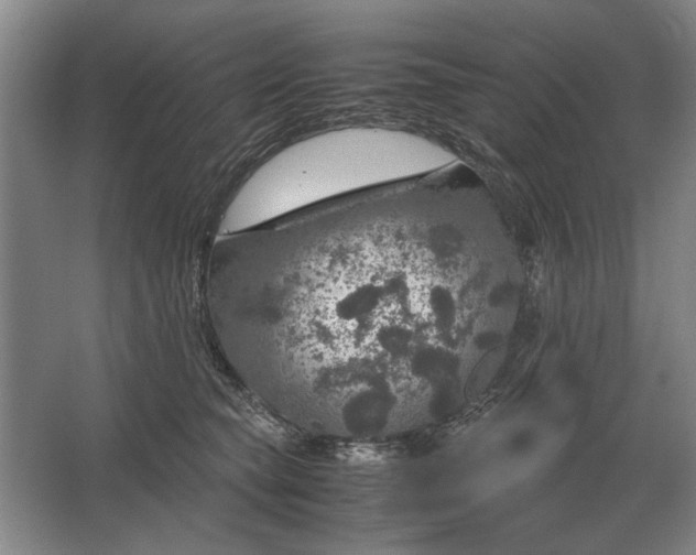 X0000062920565200601271808