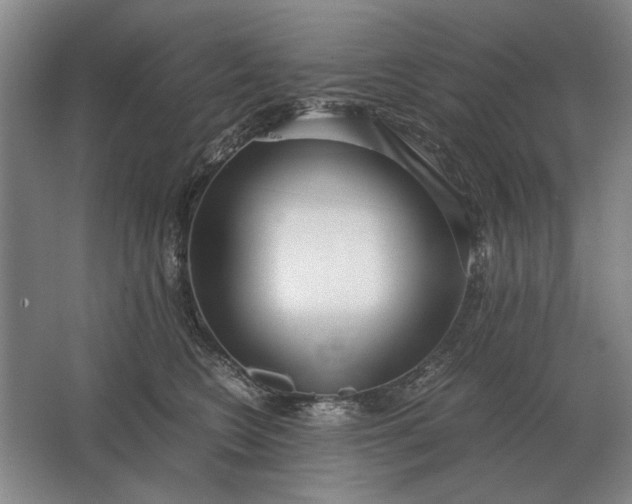 X0000062920566200601271808