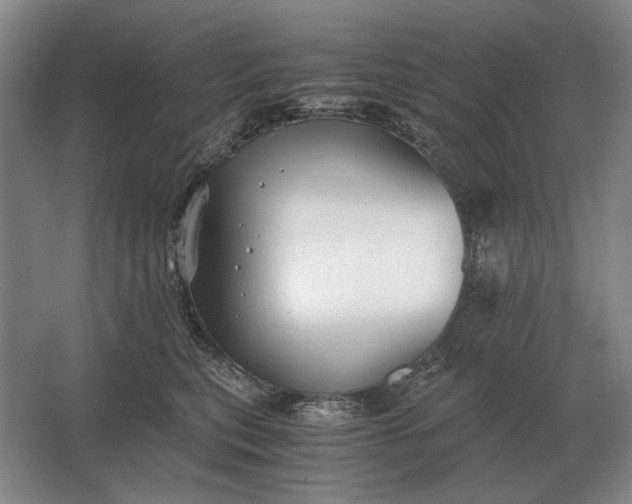 X0000062920567200601271808