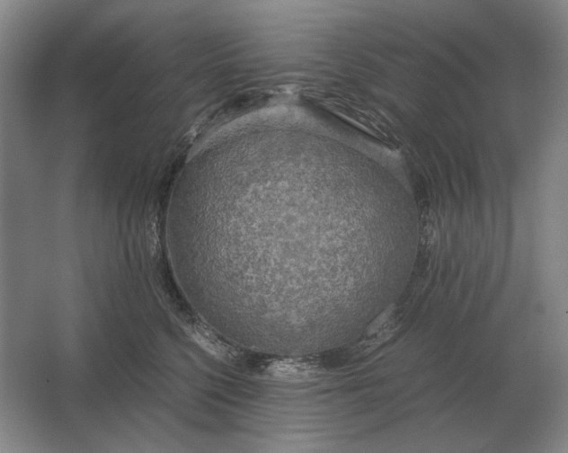 X0000062920568200601271808