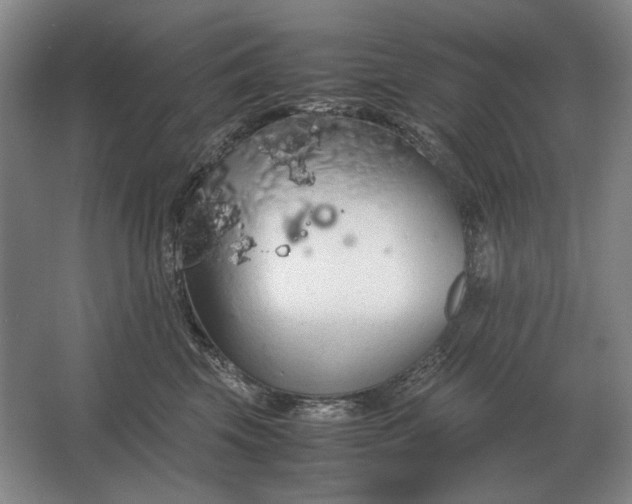 X0000062920569200601271808