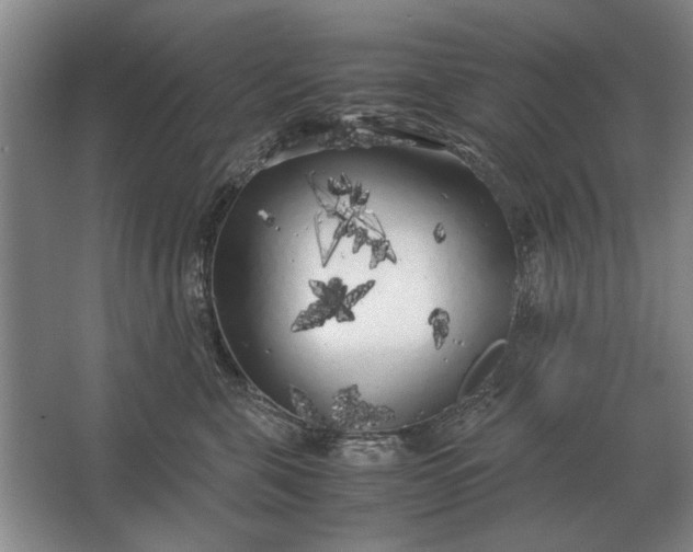 X0000062920571200601271808