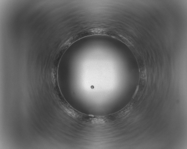 X0000062920572200601271808