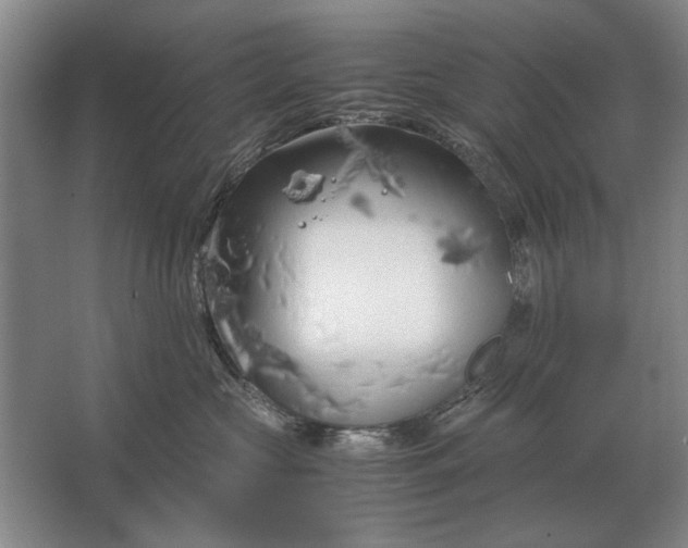 X0000062920573200601271808