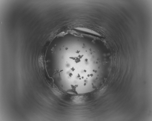 X0000062920575200601271808