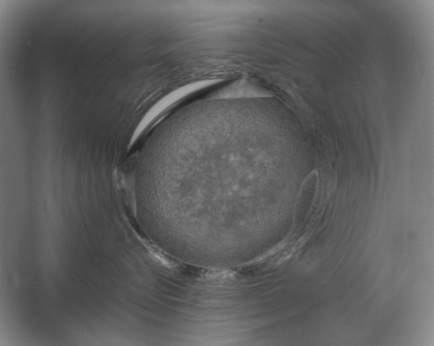 X0000062920576200601271808