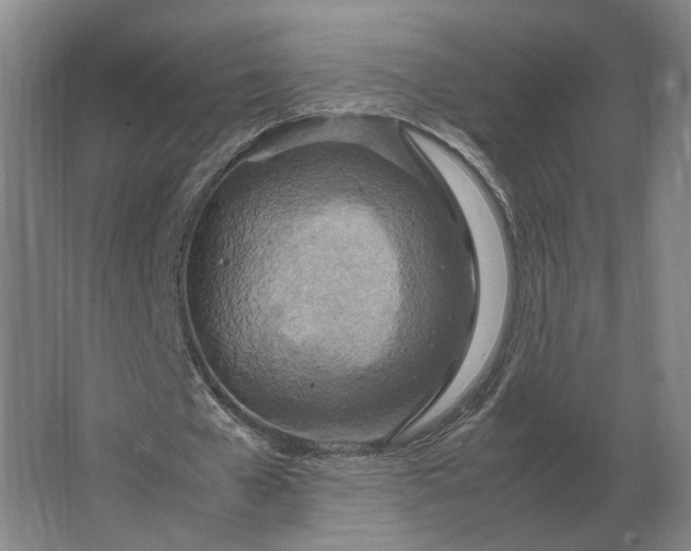 X0000062920577200601271807