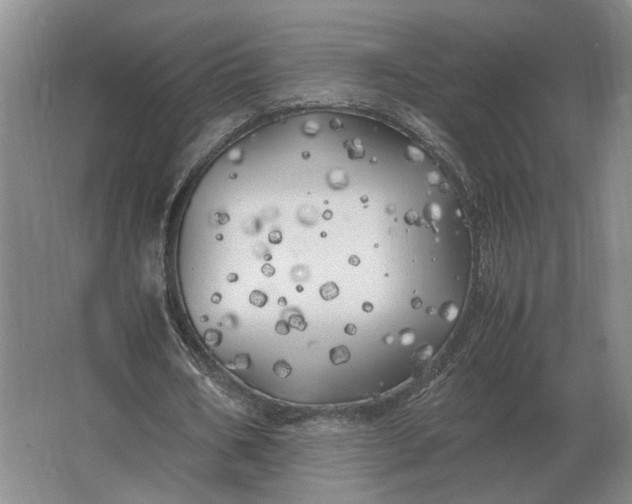 X0000062920578200601271807