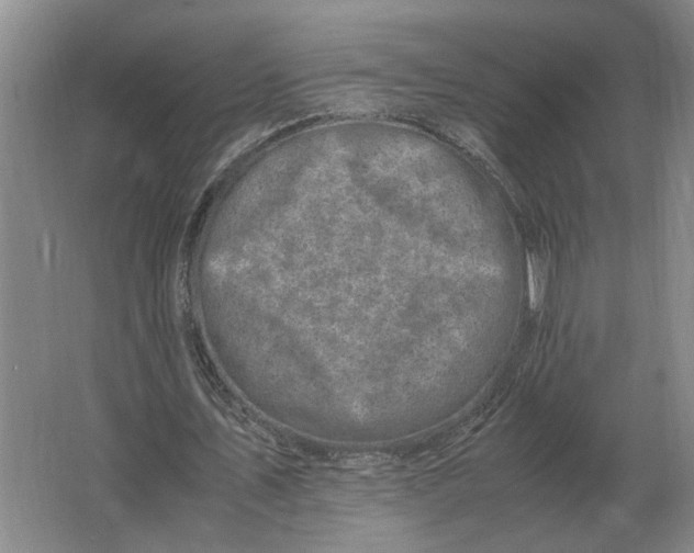 X0000062920579200601271807