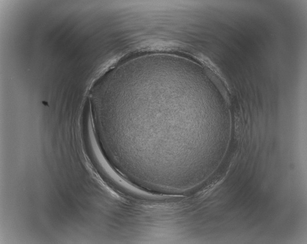 X0000062920581200601271807