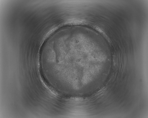 X0000062920582200601271807