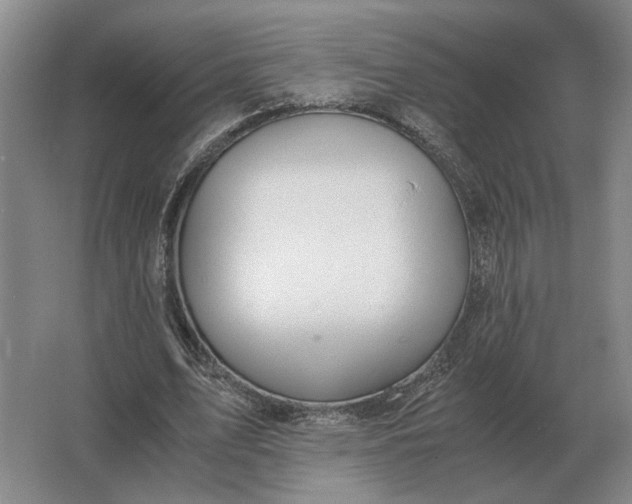 X0000062920583200601271807