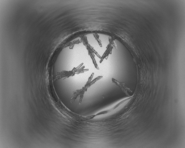 X0000062920584200601271807