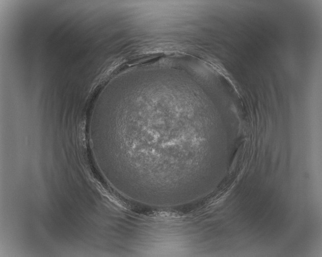 X0000062920585200601271807