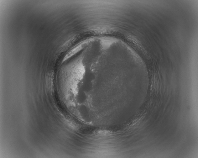 X0000062920590200601271807