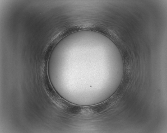 X0000062920591200601271807