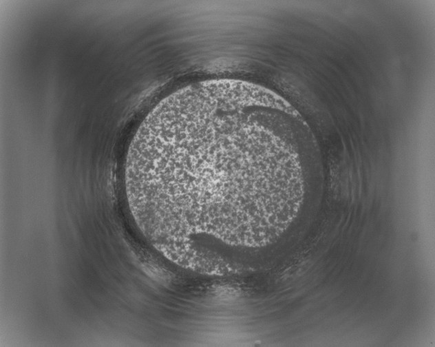 X0000062920592200601271807