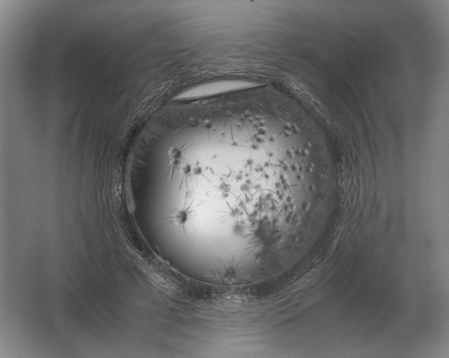 X0000062920593200601271807