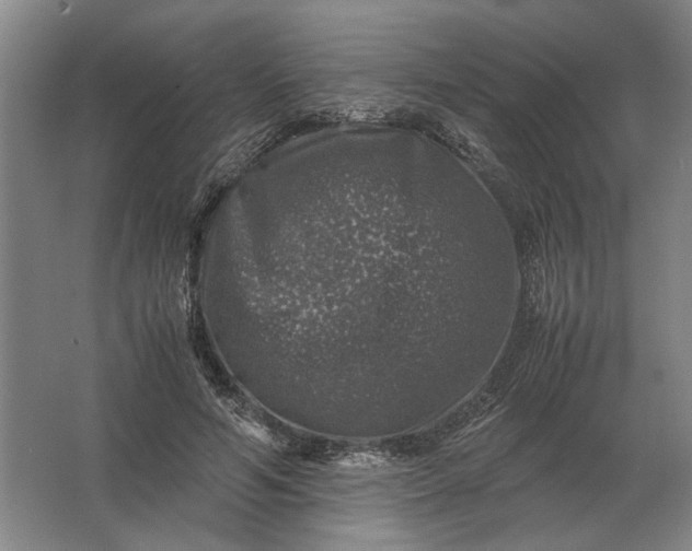 X0000062920594200601271807