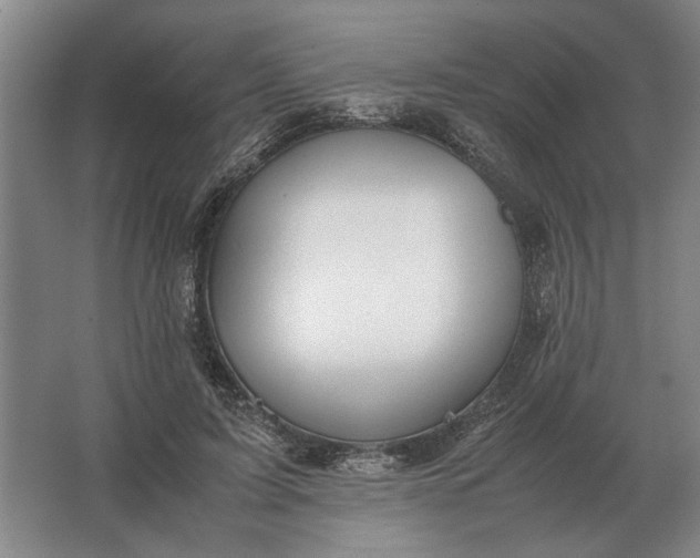 X0000062920595200601271807