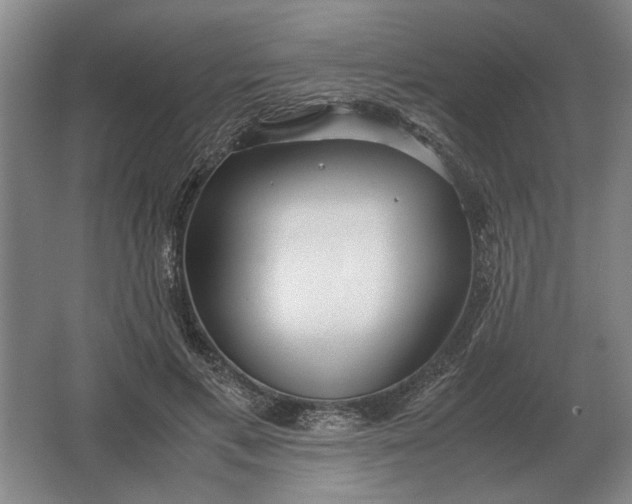 X0000062920597200601271807