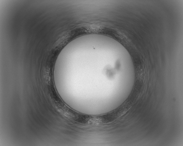 X0000062920599200601271807