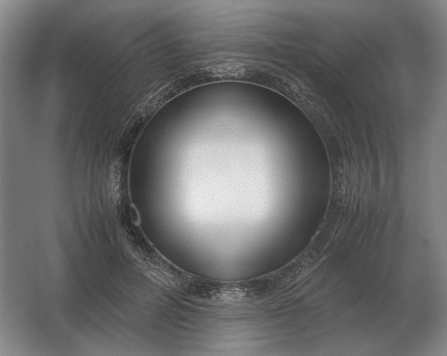 X0000062920600200601271807