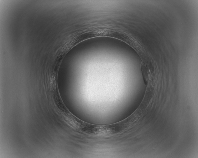 X0000062920601200601271807