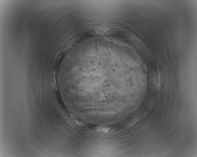 X0000062920602200601271807