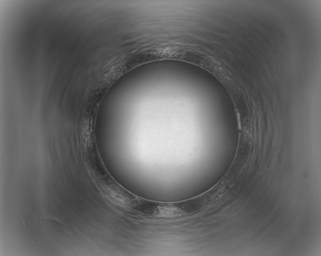 X0000062920605200601271807