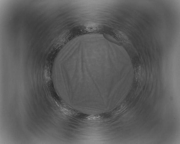 X0000062920606200601271807