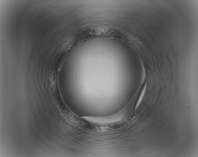 X0000062920607200601271807