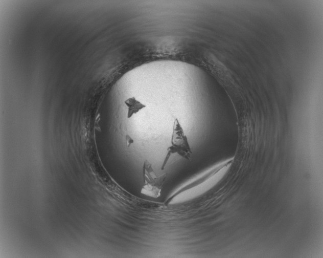 X0000062920608200601271807