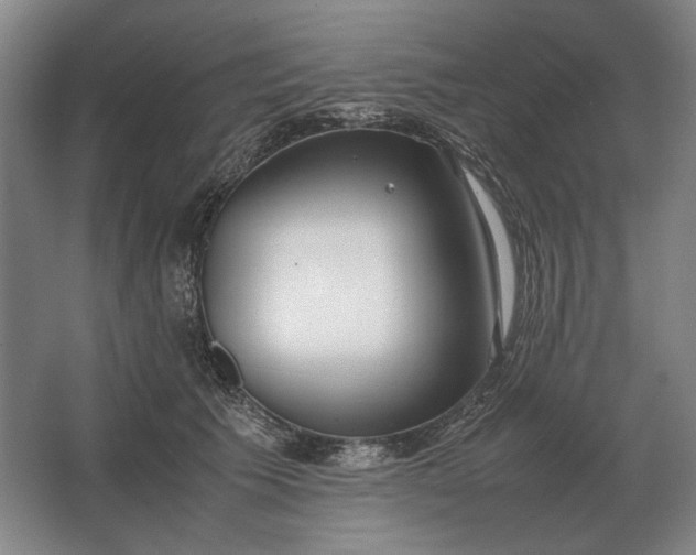 X0000062920609200601271807