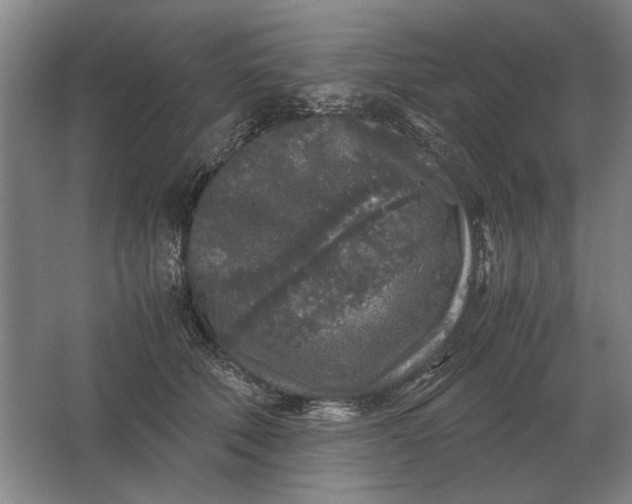 X0000062920610200601271807